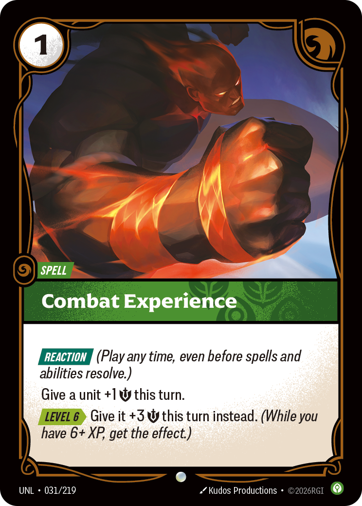 Combat Experience art